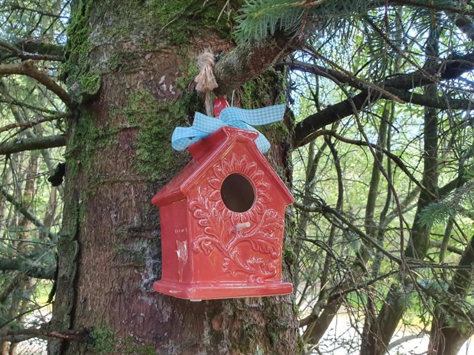 Forest Lodge Log Cabin - Ireland Ballyconnell  Exterior foto